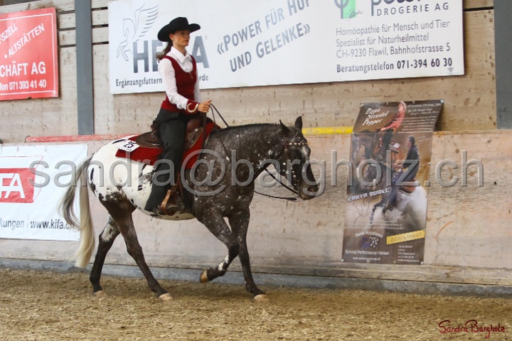 31-ApHC OWP_034.jpg
